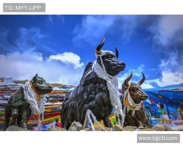 青海卫视全新节目上线探索青藏高原文化与自然之美